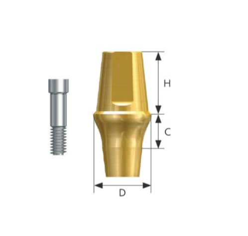 Straight Abutment Biotem